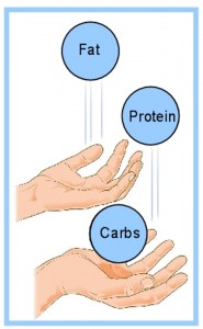 metabolic type