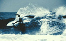 tayler surfing